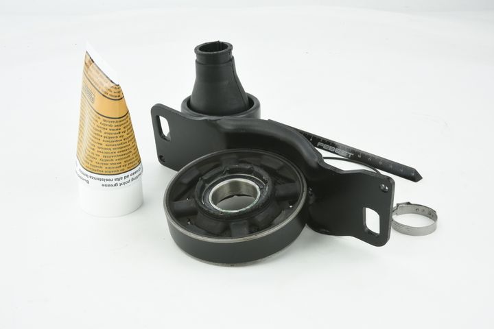 guolis, kardaninio veleno centrinis guolis