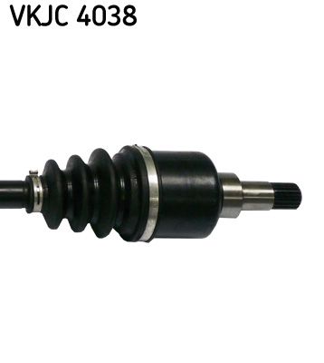 VKJC 4038_3.JPG