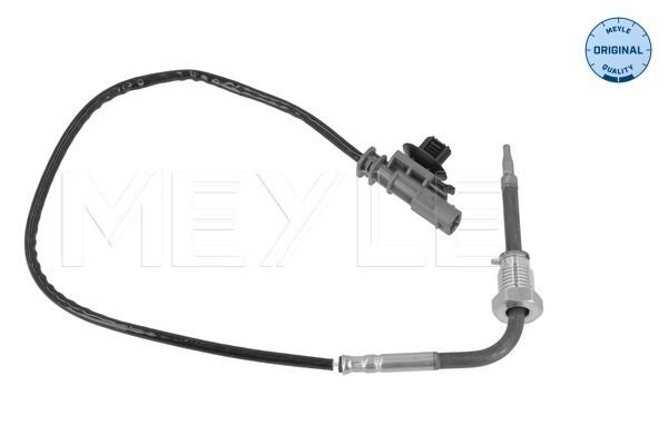 Sensor, Abgastemperatur