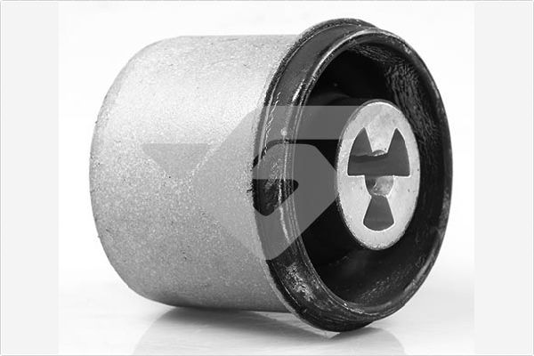 Lagerung, Achskörper