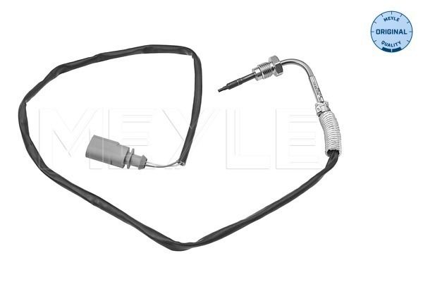 Sensor, Abgastemperatur