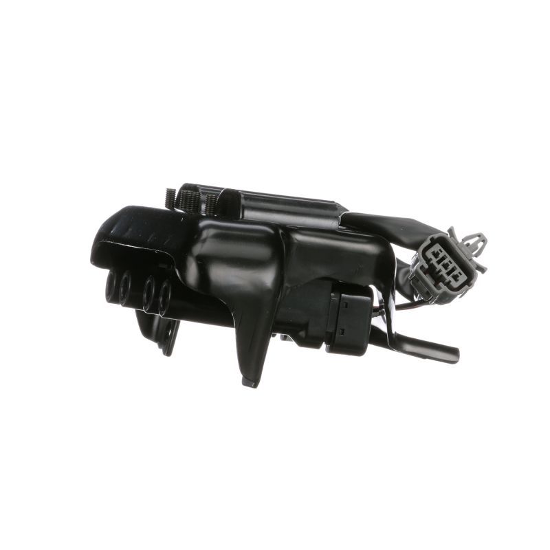 ritė, uždegimas