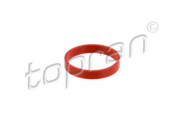 Dichtung, Ansaugkrümmer