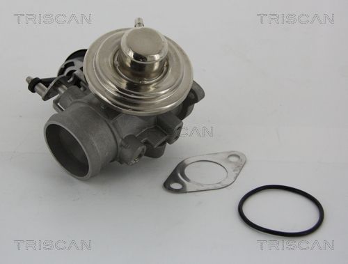 TRISCAN 8813 29001 - AGR-Ventil