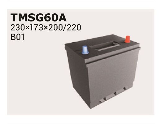 Starterbatterie