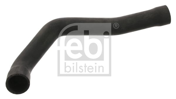 Radiator Hose 37133