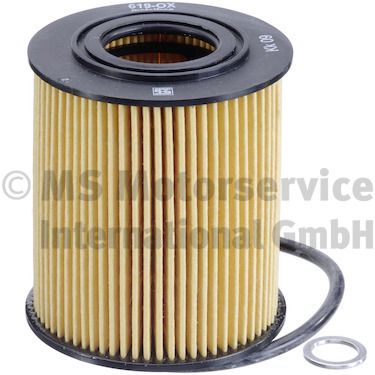 Oil Filter 50013619