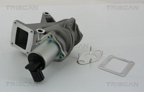 8813 25100 TRISCAN AGR-szelep