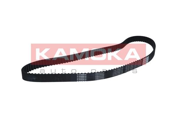 Timing Belt 7000025