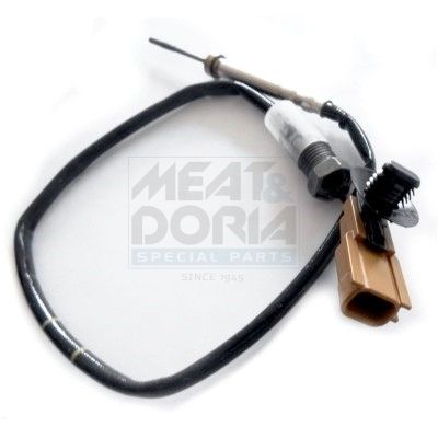 Sensor, Abgastemperatur