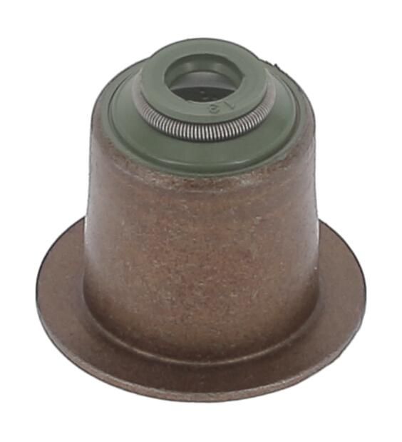 Dichtring, Ventilschaft