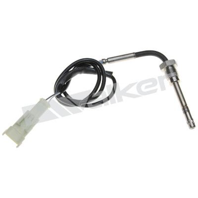 Sensor, de temperatura de gas de escape
