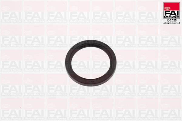 Wellendichtring, Kurbelwelle