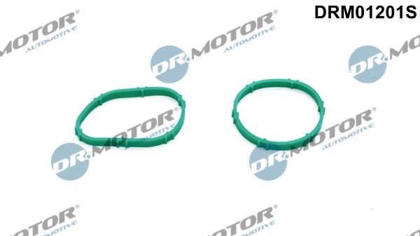 Dr.Motor Automotive DRM01201S Gasket Set, intake manifold