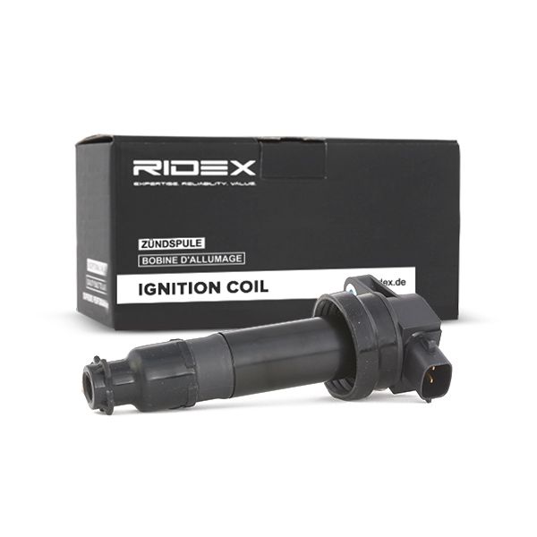 RIDEX 689C0161 Ignition Coil