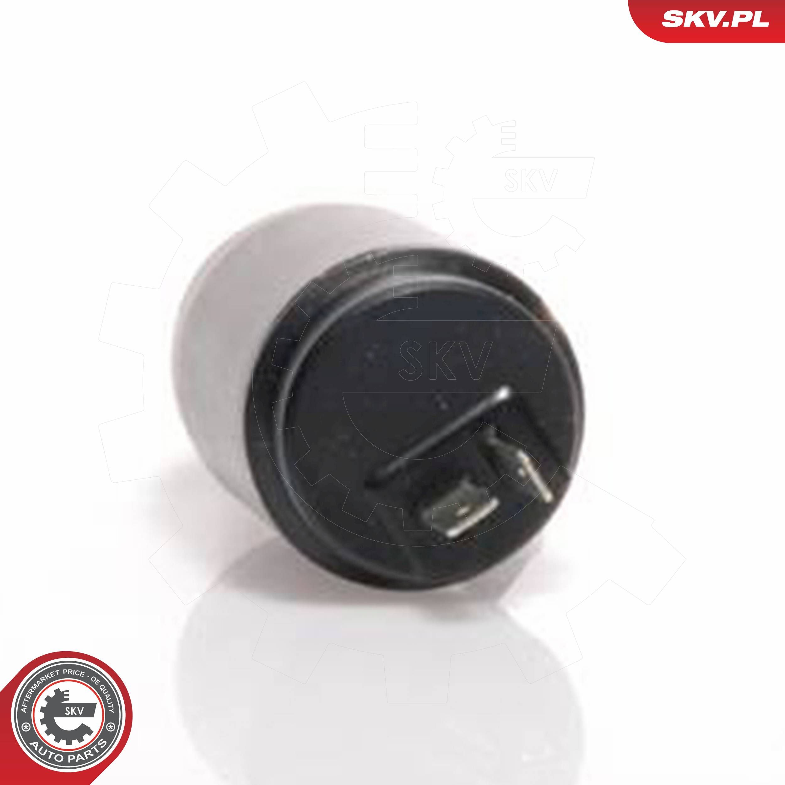 ESEN SKV 15SKV002 - Waschwasserpumpe, Scheibenreinigung