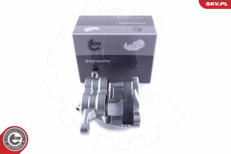 Brake Caliper 50SKV021