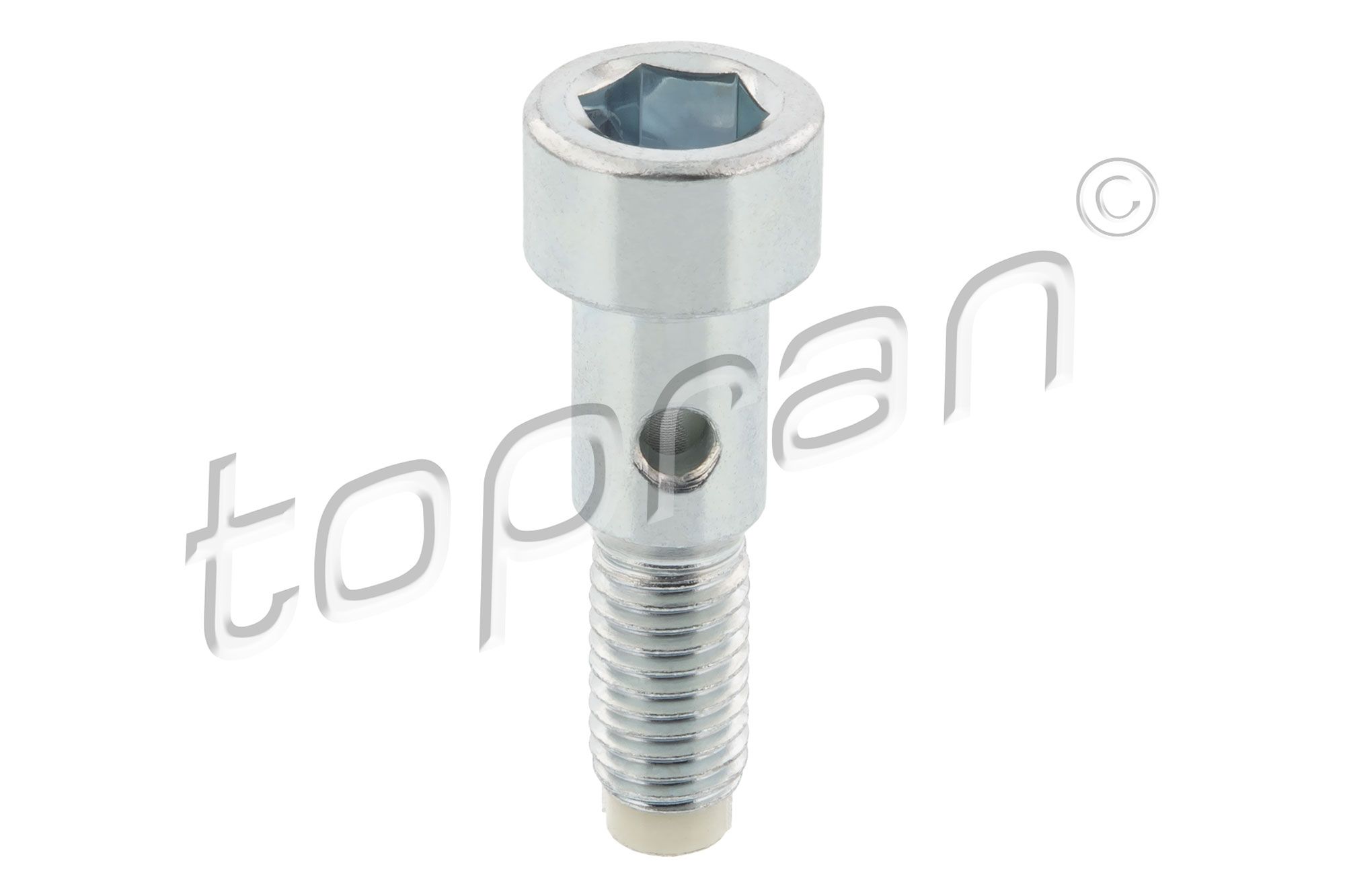 TOPRAN 305 964 - Hohlschraube, Lader