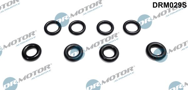 Dr.Motor Automotive DRM029S - Dichtring, Einspritzventil