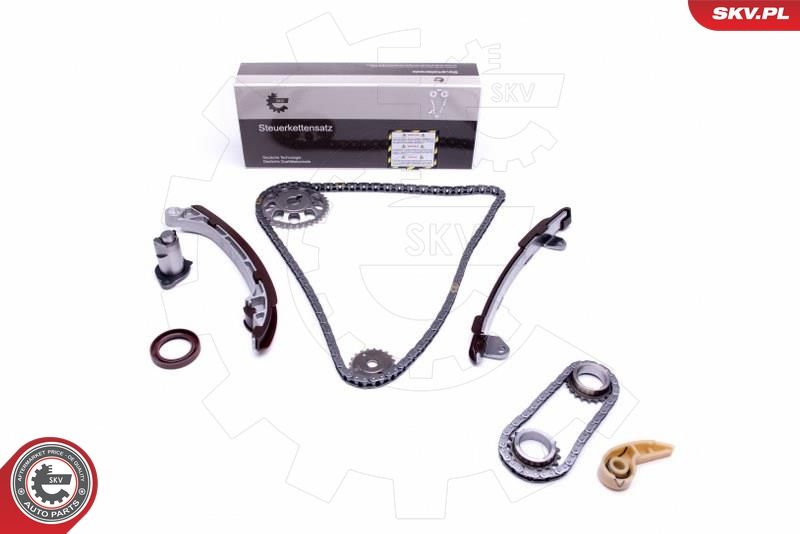 Timing Chain Kit 21SKV195