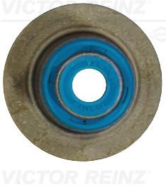 Dichtring, Ventilschaft