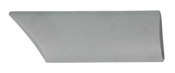 Zier-/Schutzleiste, Kotflügel