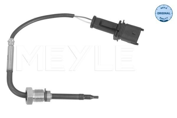 Sensor, Abgastemperatur
