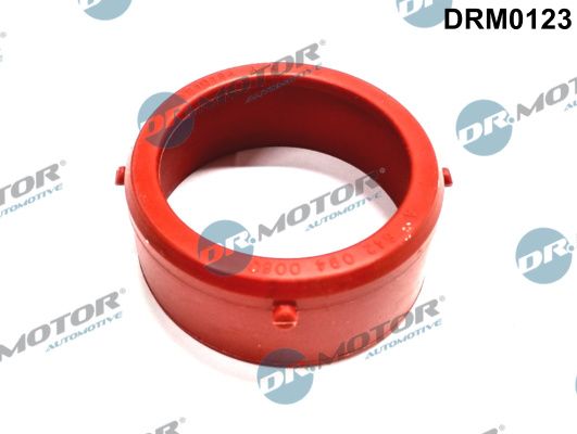 Dr.Motor Automotive DRM0123 - Dichtung, Lader