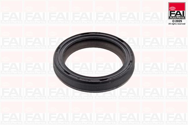 Wellendichtring, Kurbelwelle