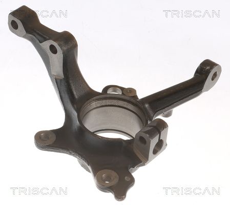 TRISCAN 8500 29718 Steering Knuckle, wheel suspension