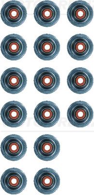 VICTOR REINZ 12-35257-01 - Dichtungssatz, Ventilschaft