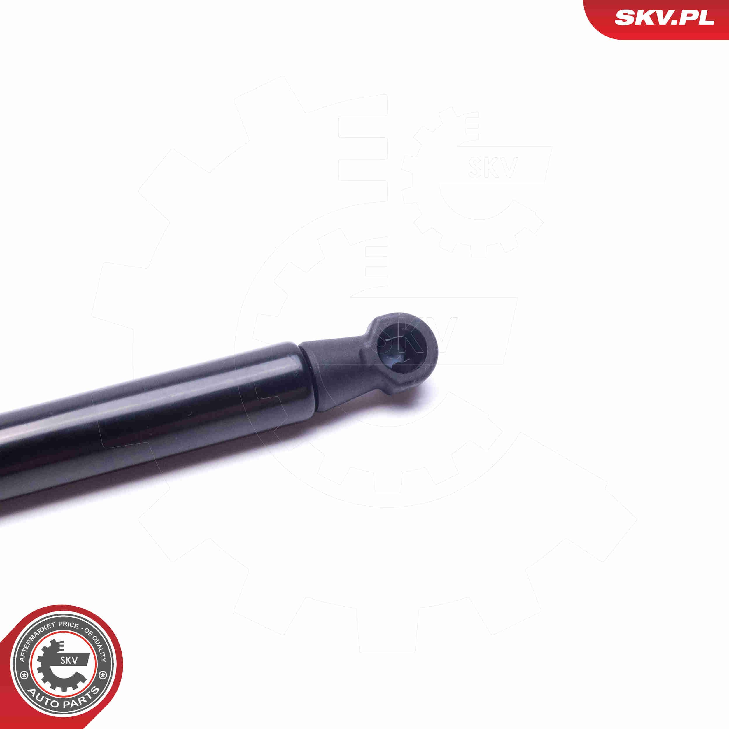 Gasfeder, Koffer-/Laderaum