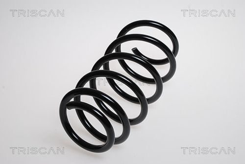 8750 24132 TRISCAN futómű rugó