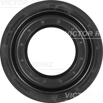 VICTOR REINZ 81-31193-00 Shaft Seal, camshaft