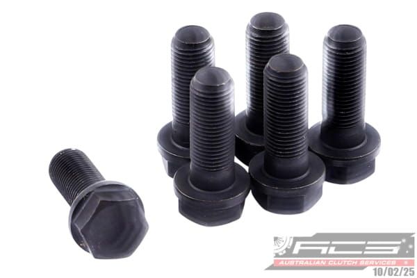 BOLT SET F/W FORD 10x1.0x27.6 (6) 73Nm - TecDoc Only