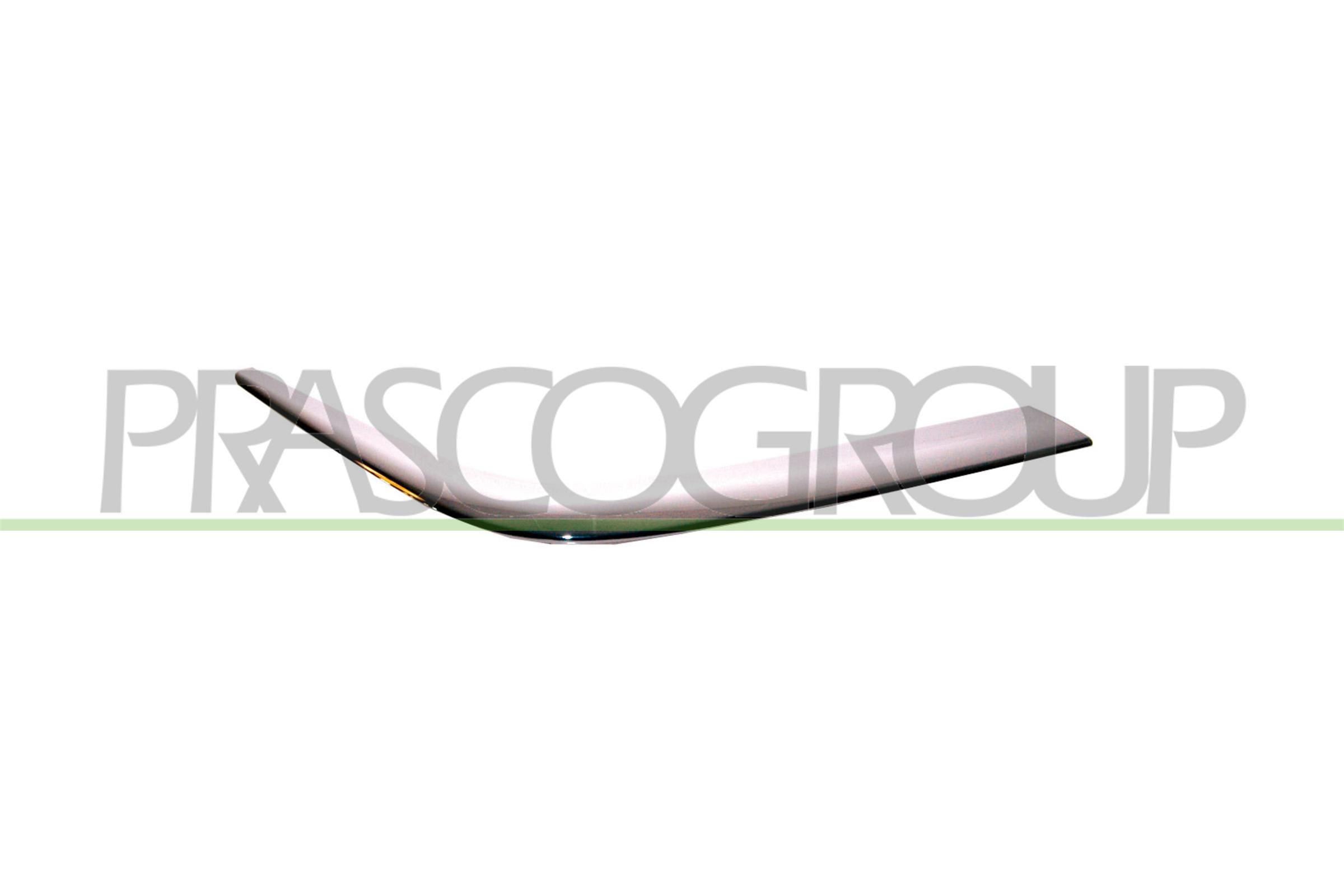 Zier-/Schutzleiste, Stoßfänger