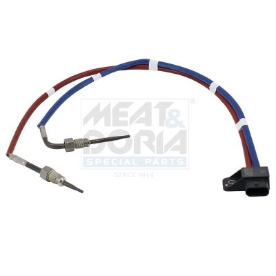 Sensor, Abgastemperatur