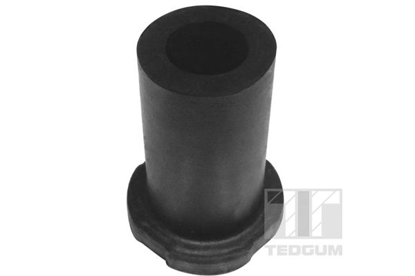 TEDGUM 00284896 Mounting, leaf spring