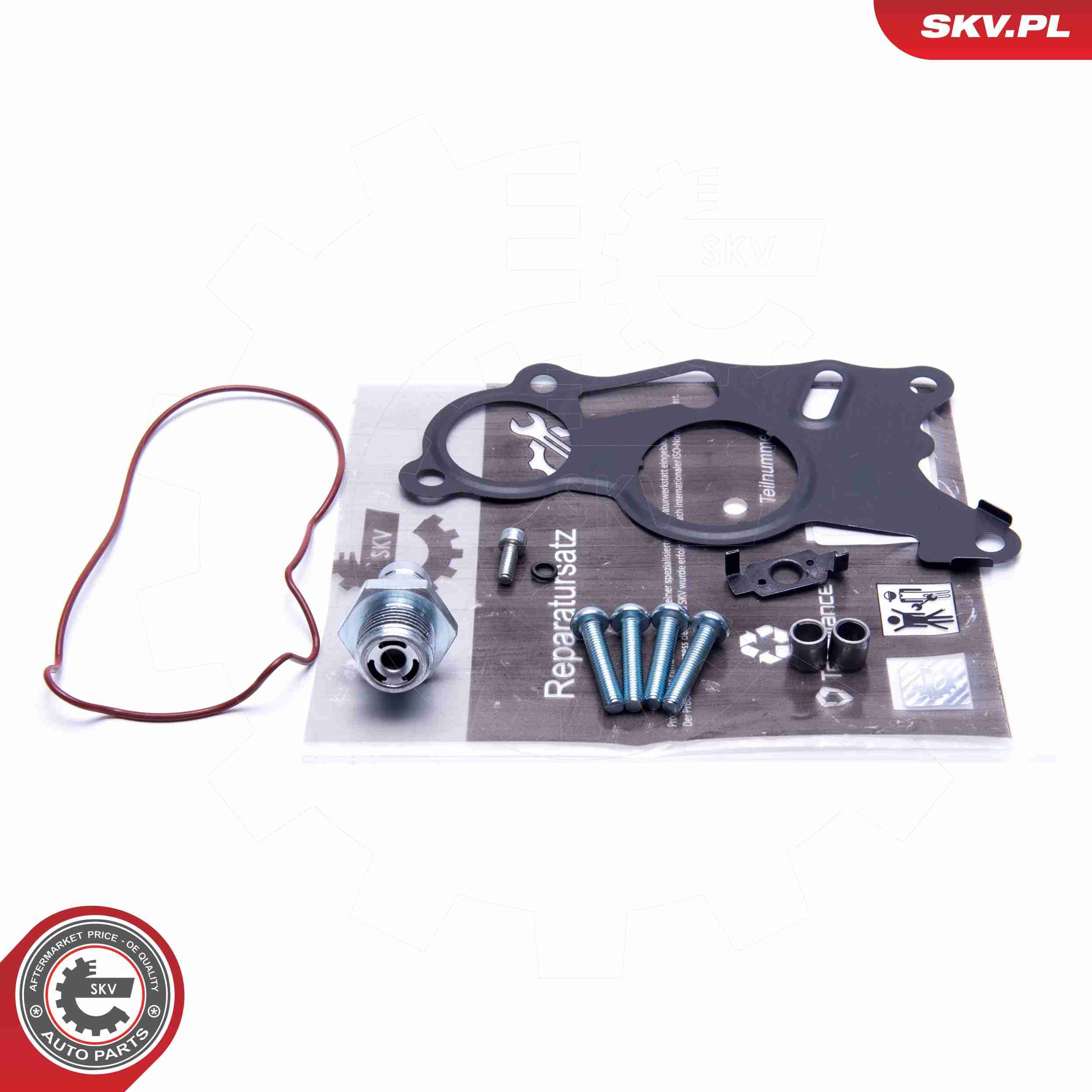 ESEN SKV 18SKV803 - Reparatursatz, Unterdruckpumpe (Bremsanlage)