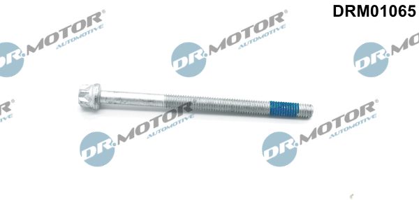 Dr.Motor Automotive DRM01065 Screw, injection nozzle holder