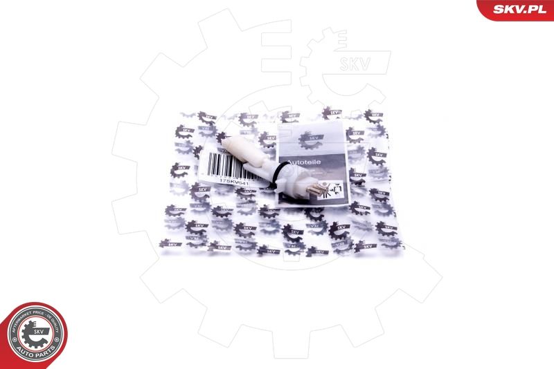 Sensor, Kühlmittelstand