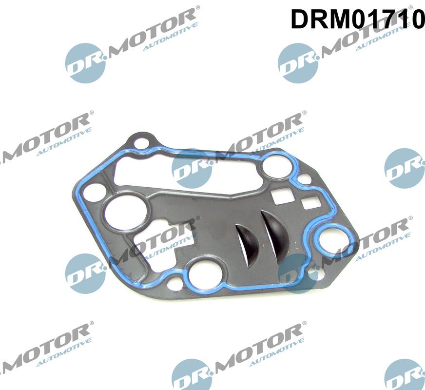 drm_drm01710_wm_01.JPG
