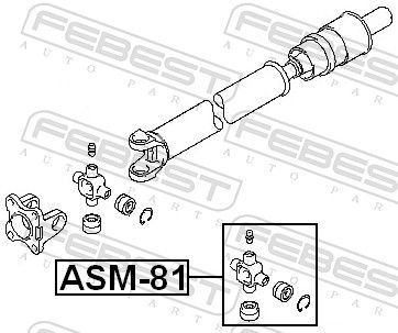 ASM-81_1.JPG