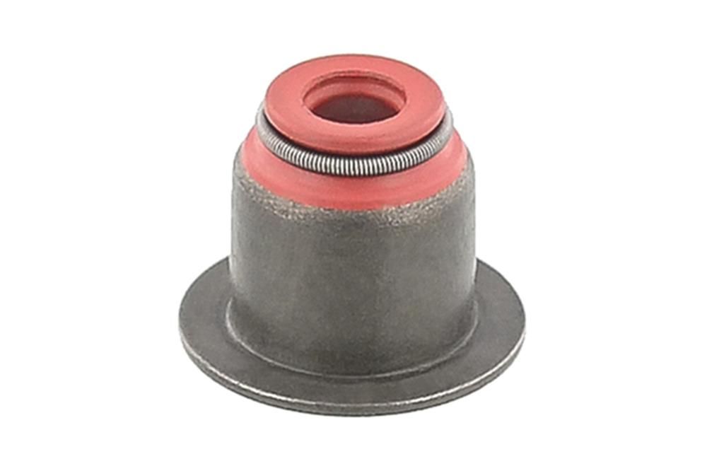Dichtring, Ventilschaft