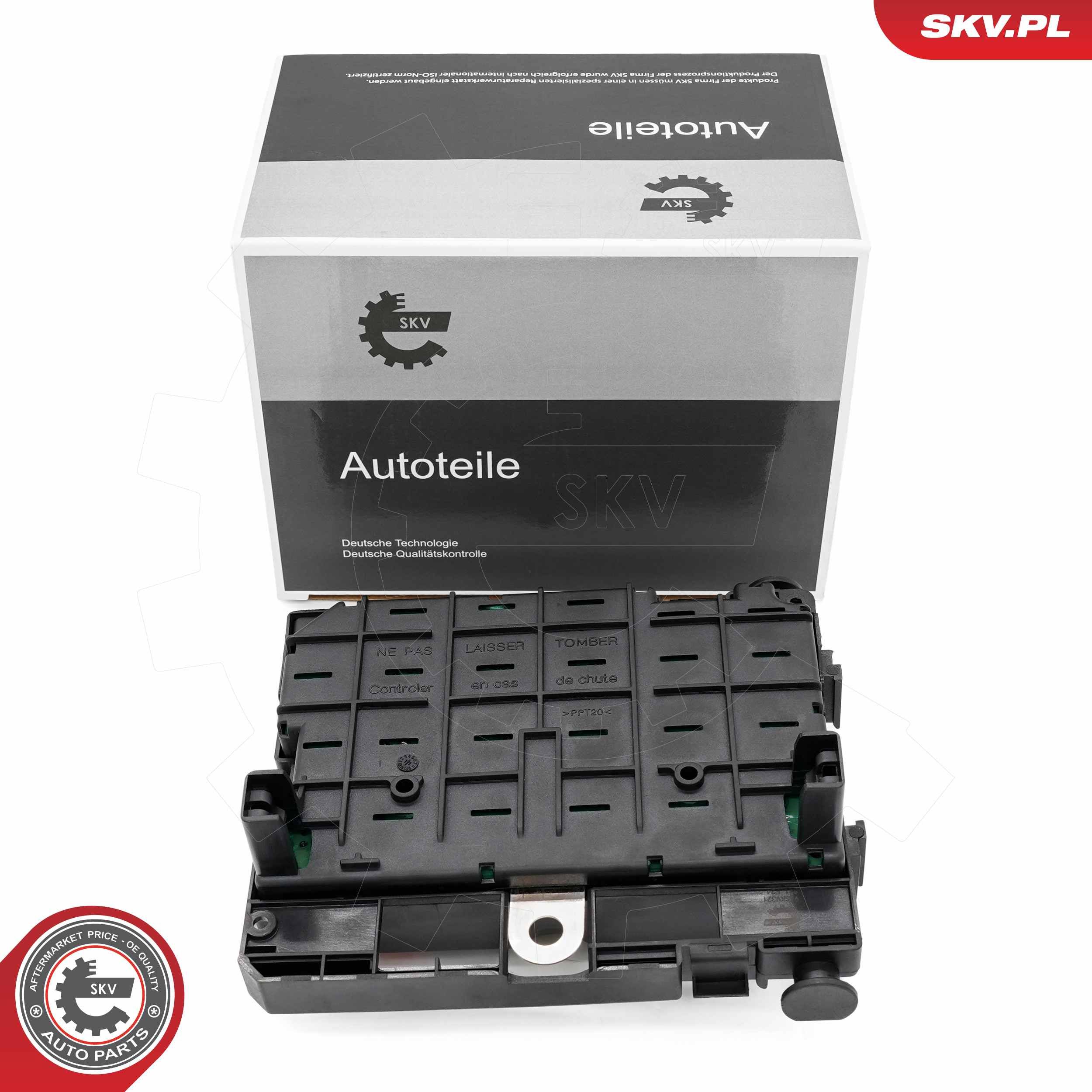 ESEN SKV 96SKV321 - Steuergerät, Motormanagement