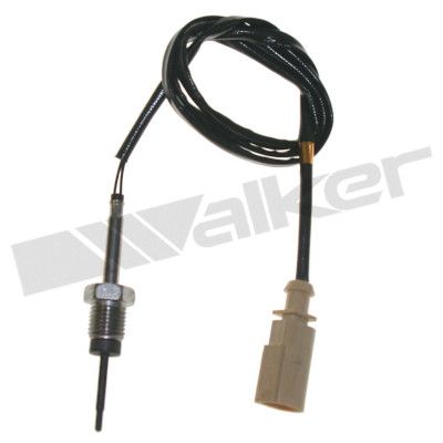 Sensor, de temperatura de gas de escape