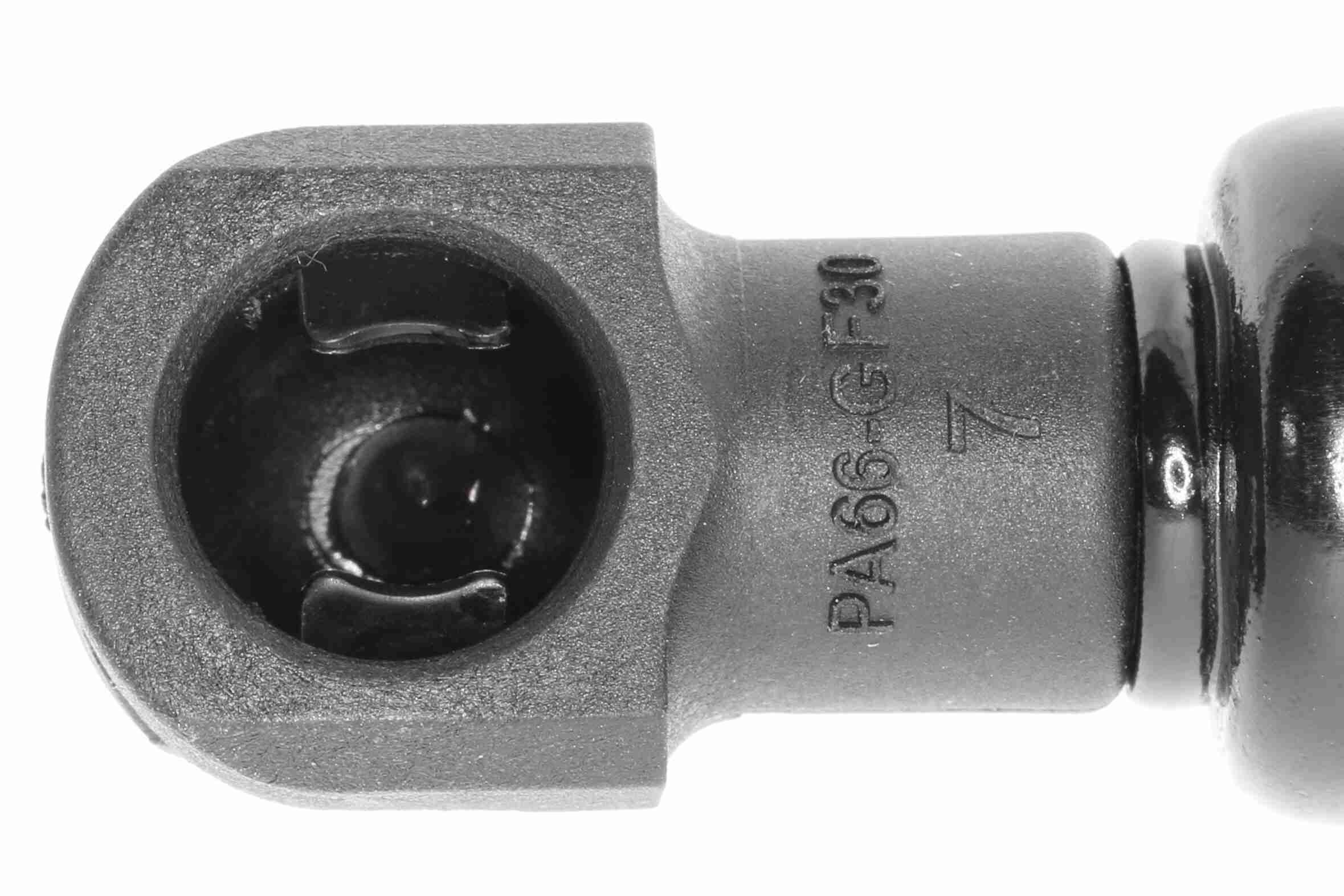 Gasfeder, Koffer-/Laderaum