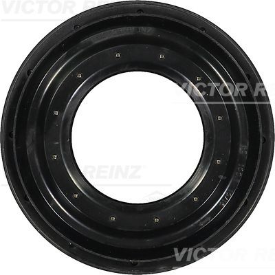 Wellendichtring, Differential