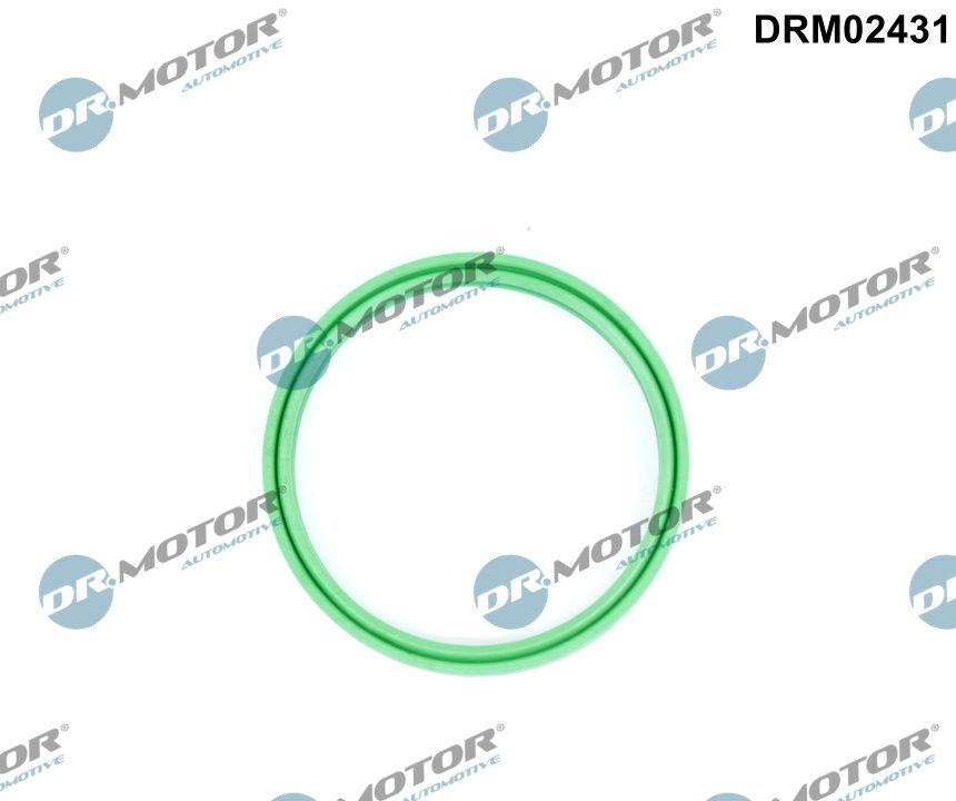 Dr.Motor Automotive DRM02431 Seal Ring, charge air hose