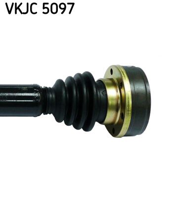 VKJC 5097_3.JPG
